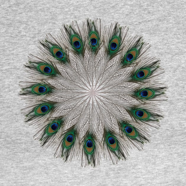 Simple Peacock Mandala by burenkaUA